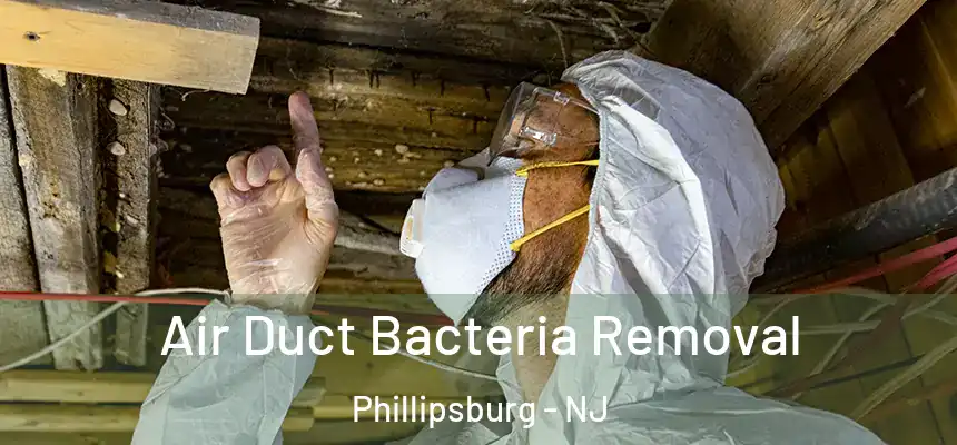  Air Duct Bacteria Removal Phillipsburg - NJ
