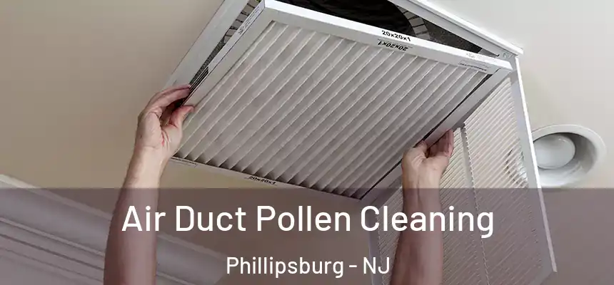  Air Duct Pollen Cleaning Phillipsburg - NJ