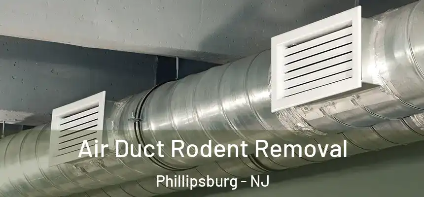  Air Duct Rodent Removal Phillipsburg - NJ