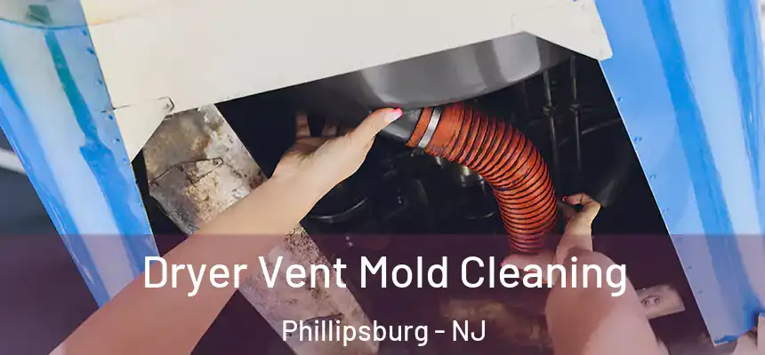  Dryer Vent Mold Cleaning Phillipsburg - NJ
