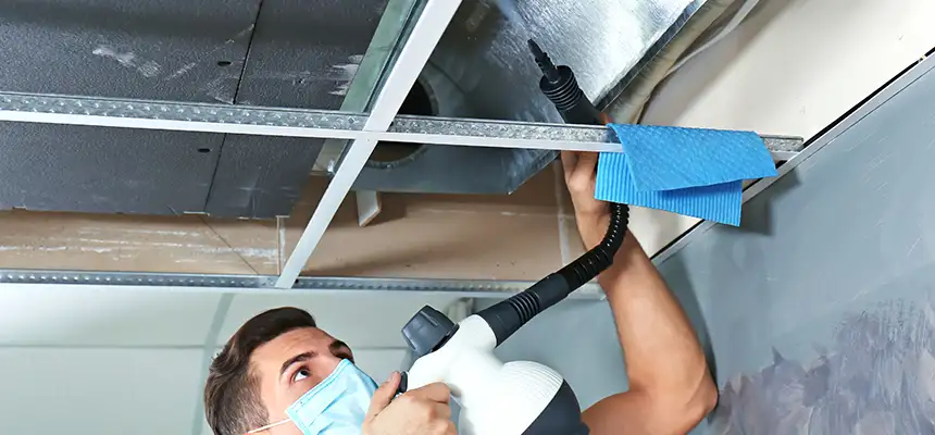 Our Air Duct Rodent Removal Services in Phillipsburg, NJ