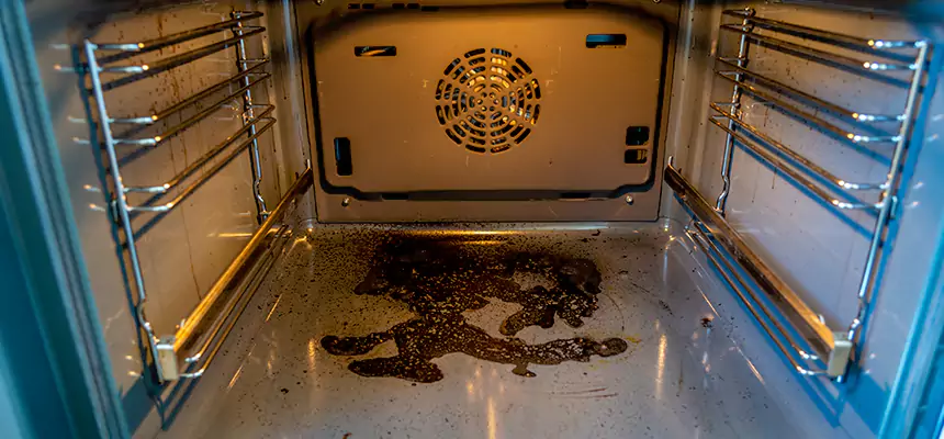 Our Dryer Vent Mold Cleaning Services in Phillipsburg, NJ