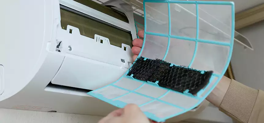 Gentle Ductwork Odor-Control Pet Dander Duct Cleaning in Phillipsburg, NJ