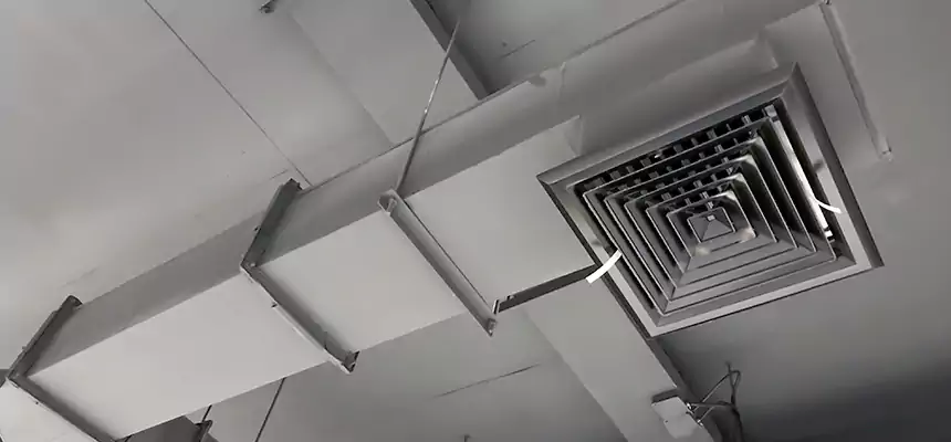 Our Rodent Droppings In Vents Services in Phillipsburg, NJ