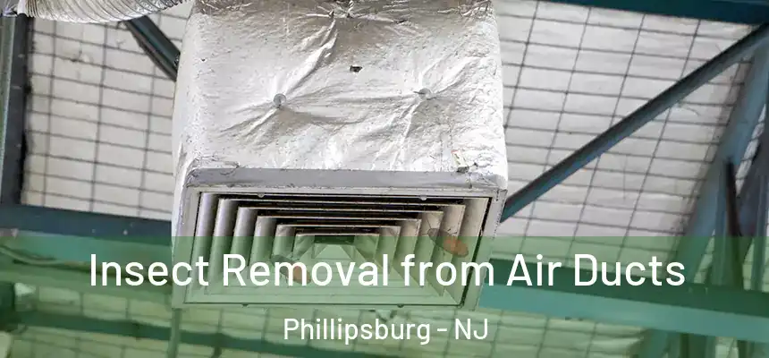  Insect Removal from Air Ducts Phillipsburg - NJ