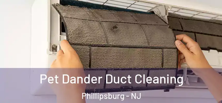  Pet Dander Duct Cleaning Phillipsburg - NJ