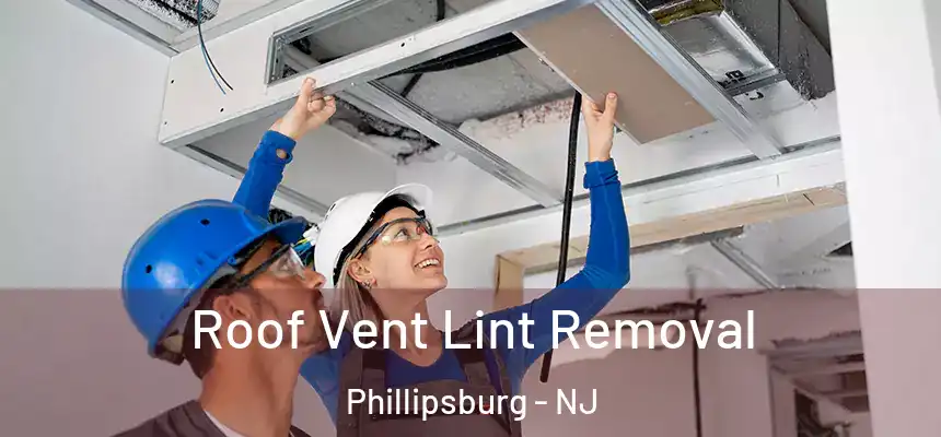  Roof Vent Lint Removal Phillipsburg - NJ