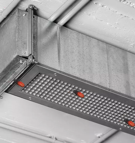 About Air Duct Cockroach Removal in Phillipsburg, NJ