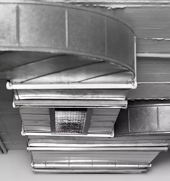 Professional Air Duct Pest Removal in Phillipsburg, NJ