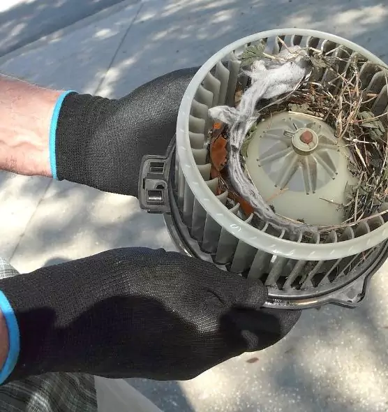 About Air Duct Rat Removal in Phillipsburg, NJ