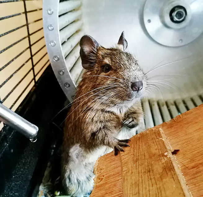 Why Homeowners & Businesses Trust Us Phillipsburg, NJ