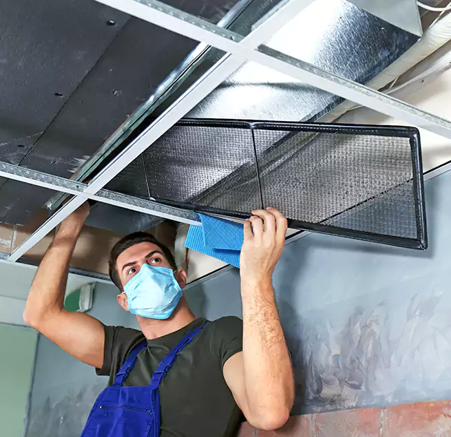 Why Homeowners Businesses Trust Us in Phillipsburg, NJ